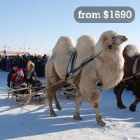 Mongolia event tours