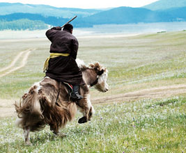 Mongolian yak event