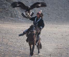 Eagle hunting festival