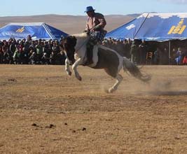 Mongolia herders