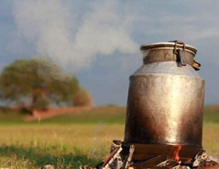 Stone grilled lamb