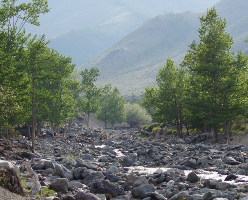 Mongolia nature scene